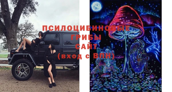 мескалин Горняк