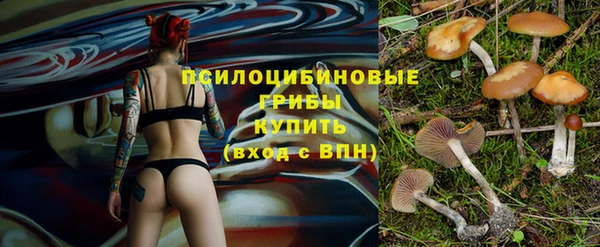 марки nbome Горнозаводск
