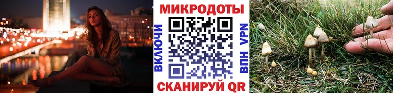 Купить закладки  Шадринск  Галлюциногенные грибы Cubensis 