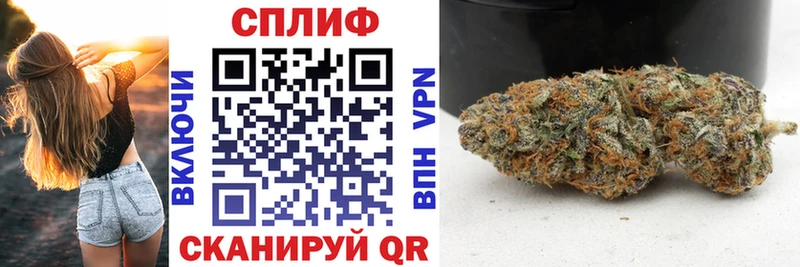 Купить закладки  Шадринск  МАРИХУАНА семена 